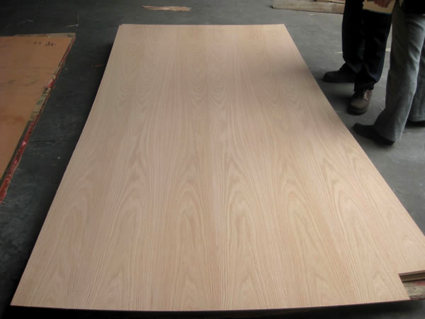 Red oak Plywood